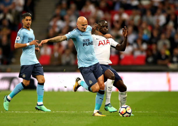 系列猜测 系列猜测